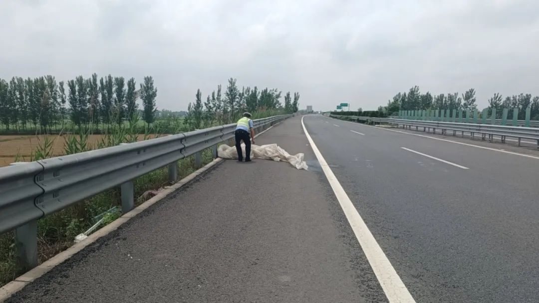 1686359936687647.jpg 640.jpg