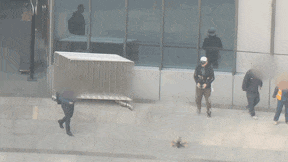 1700123784880473.gif 640 (1).gif